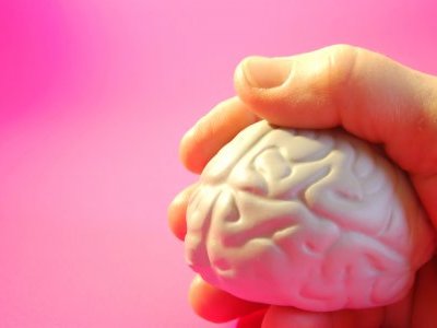 Nourir et protéger le cerveau : c'est vital