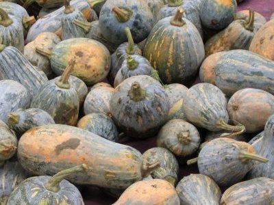 Les extraits de pépin de courge