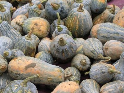 Les extraits de pépin de courge